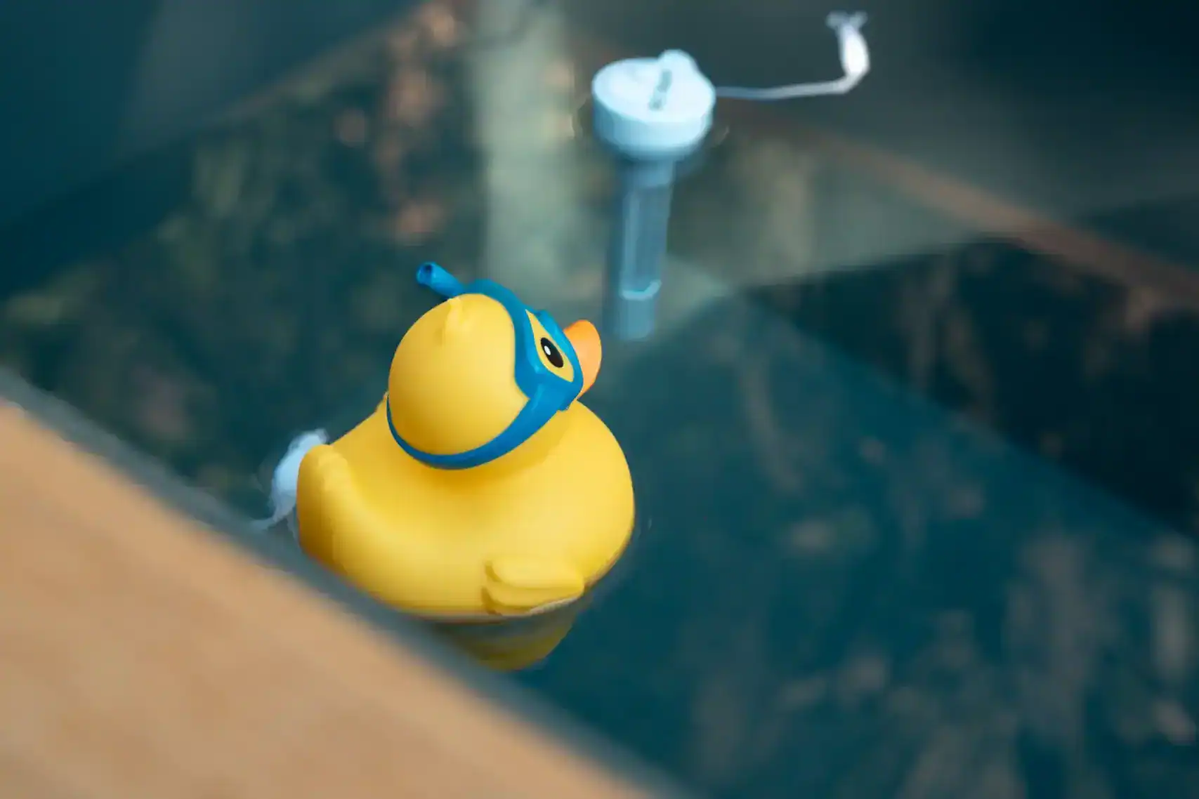 Bromine Duckies (Floating Dispenser)